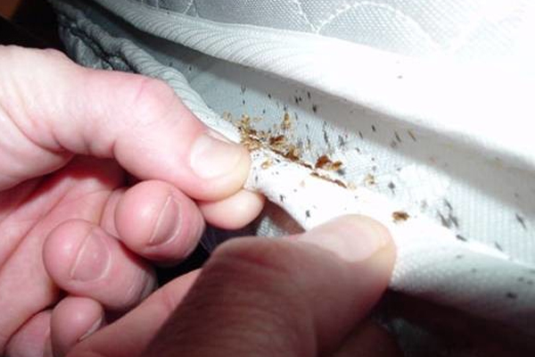 pest control services in trichy
