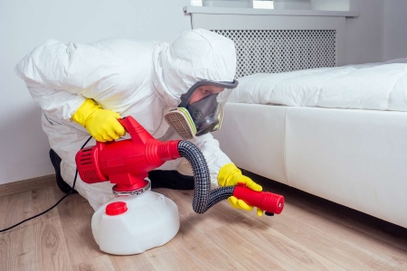 pest control trichy